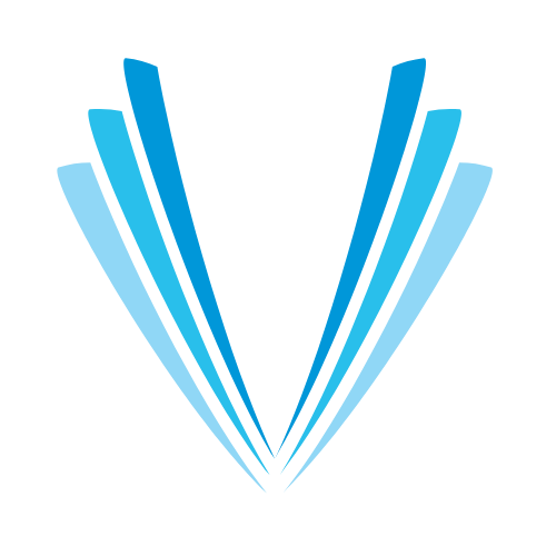 Veer Consultancy - Accounting and Tax Consultancy in Ahmedabad